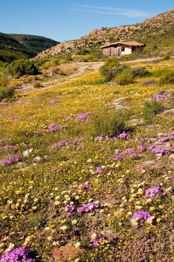 Villa Oudrif Farm à Clanwilliam Extérieur photo