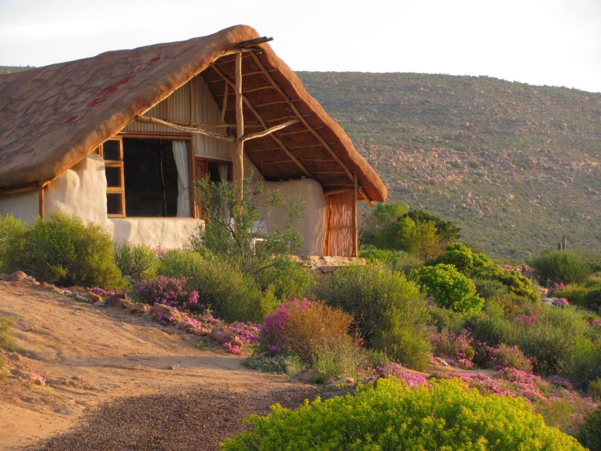 Villa Oudrif Farm à Clanwilliam Extérieur photo